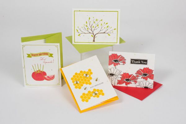 Zero Waste Plantable Seed Paper Greeting Cards – A Drop in the Ocean