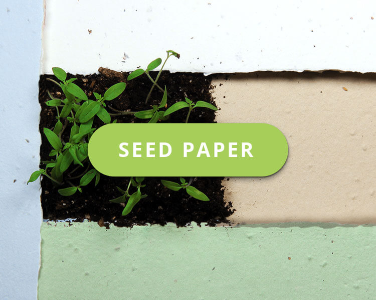 Biodegradble Compostable Plantable Printable Eco-Friendly
